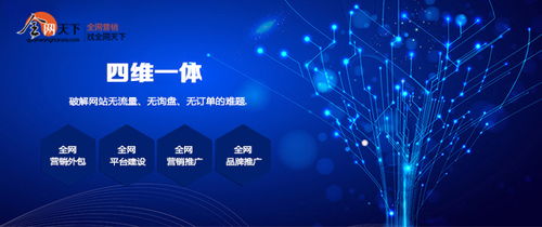 傳統(tǒng)企業(yè)如何借力全網(wǎng)營銷，擁抱互聯(lián)網(wǎng)銷售變革